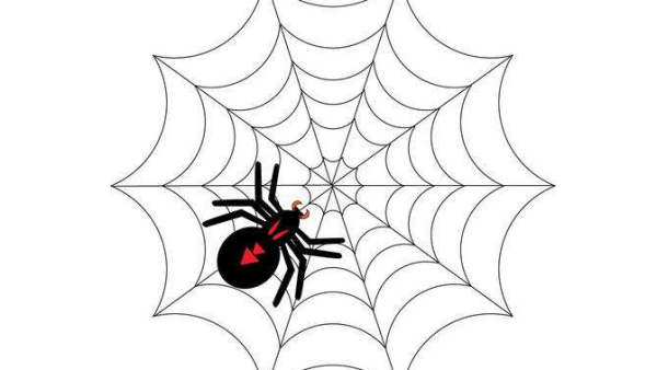 SEO中通常所说的引蜘蛛是什么意思？