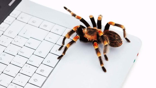 如发现蜘蛛爬行网站不顺畅，首当其冲是清理网站陷阱