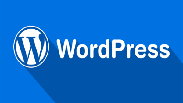 WordPress 建站教程，如何快速建站？