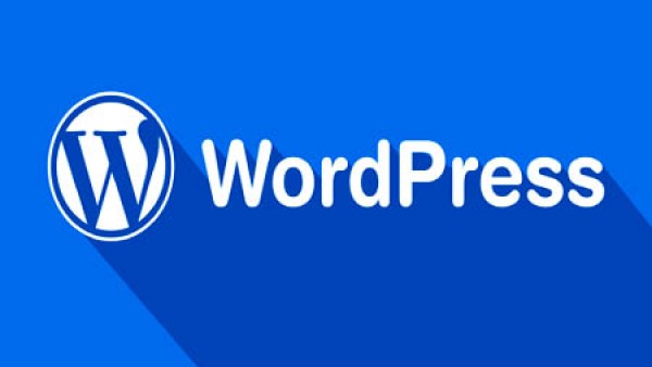 如何处理WordPress CPU占用100%很高的问题！