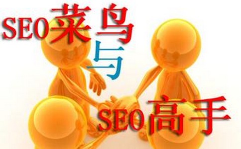 SEO优化怎样利用自身优势进行网站优化