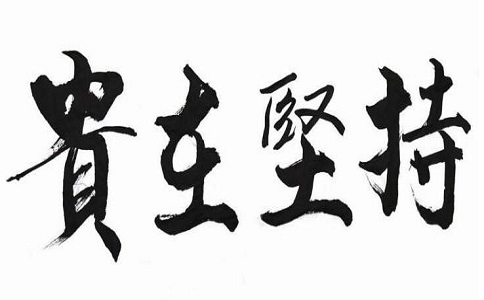 为什么企业网站做了SEO优化，却看不到效果?