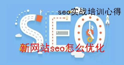 seo实战心得，新网站seo怎么优化