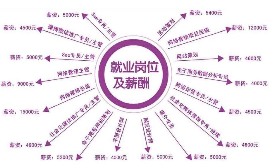 【SEO入门】学会SEO能做啥？深度解析SEO就业岗位与项目变现