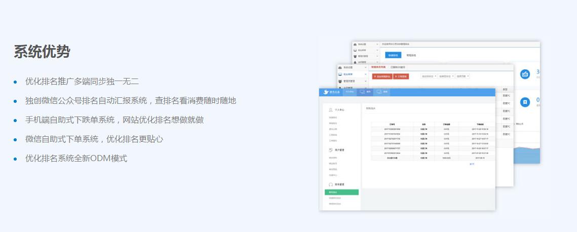 网络公司为什么要选择SEO按天计费系统定制