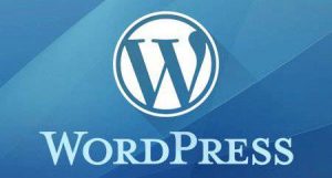 WordPress免费博客，注册值得关注的细节